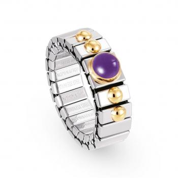 Nomination  Ringe XTE   AMETHYST 040102/002