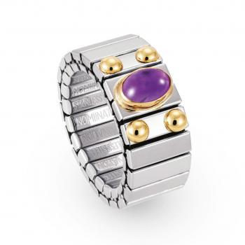 Nomination  Ringe XTE   AMETHYST 040121/002