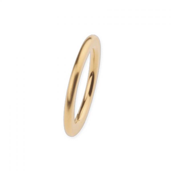 Ringsystem Ring vergoldet, Gelbgold R256 von Ernstes Design